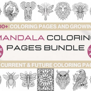 Colorit Coloring Books 