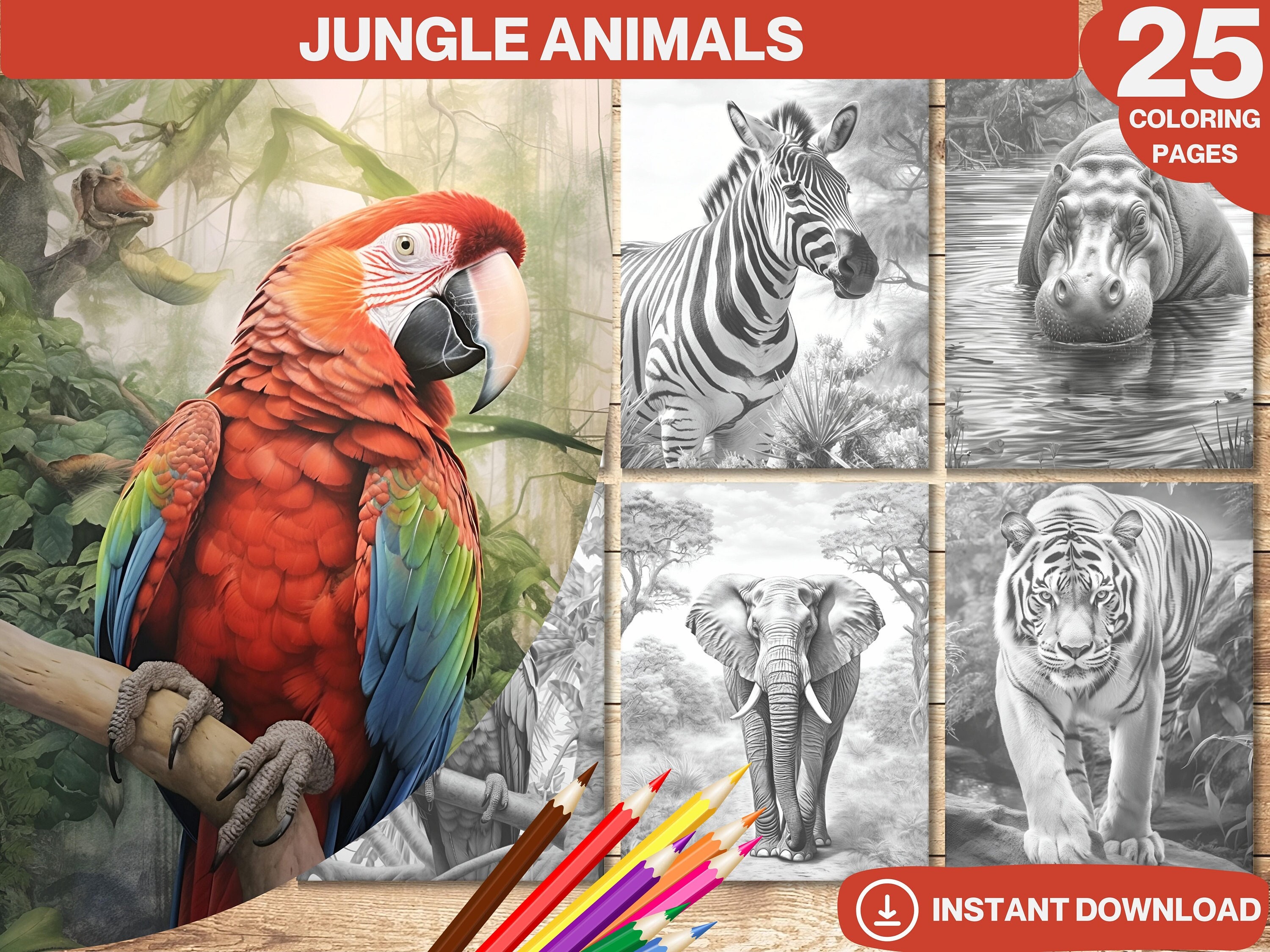 Jungle Animals Coloring Book: 25 Wild Animal Pages (printable PDF) - Etsy