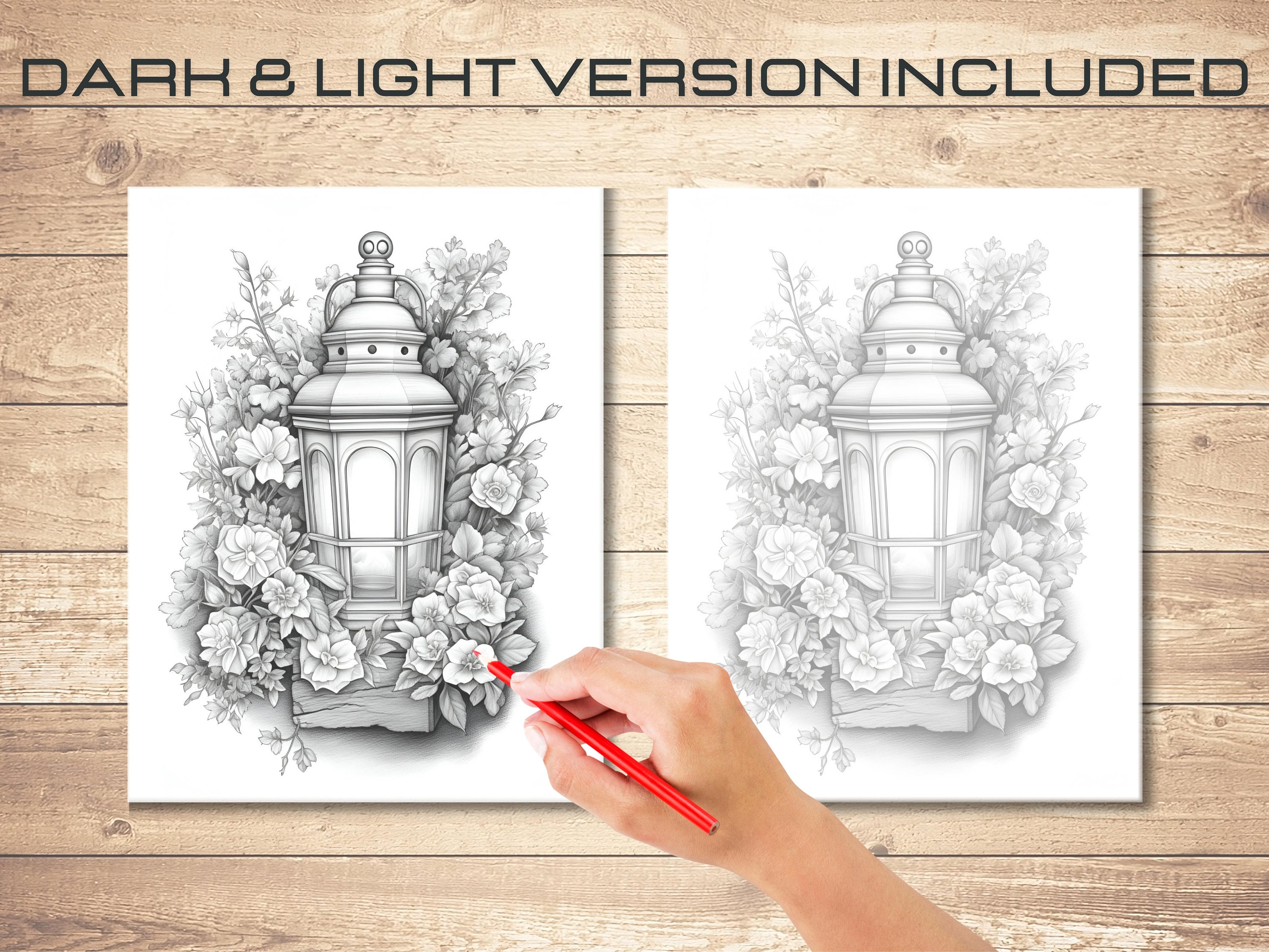 Cottage Flowers Lantern Coloring Book Adults and Kids - Etsy