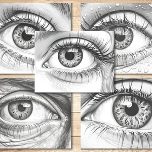 May include: A collection of five black and white pencil drawings of human eyes. Each eye is drawn in detail, with realistic shading and texture. The eyes are all looking in different directions.