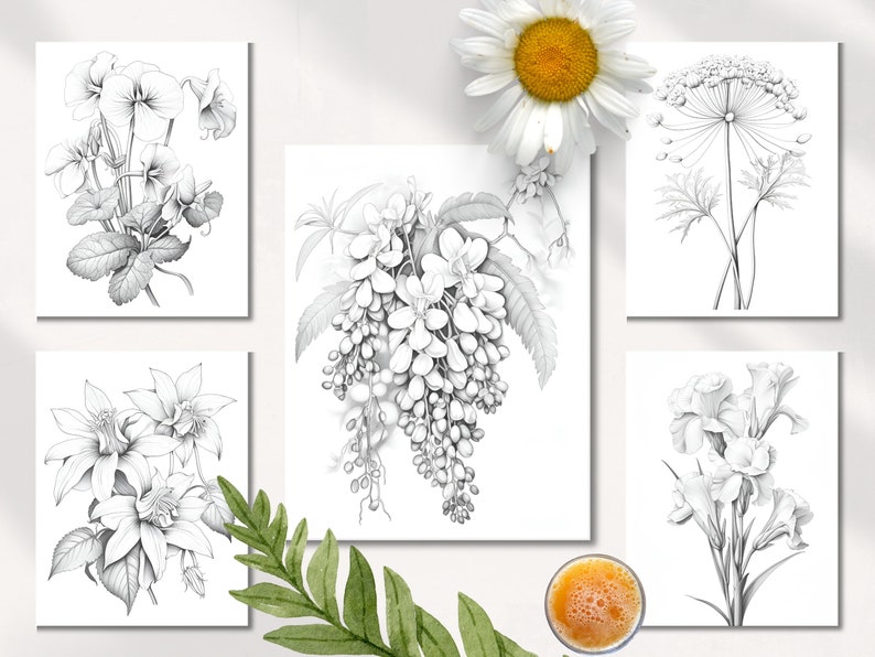 Op de afbeelding: Set van zes zwart-wit botanische illustraties met verschillende bloemen en planten. De illustraties zijn realistisch getekend en bevatten details zoals bladeren, stengels en bloemblaadjes.