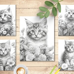 May include: Five black and white illustrations of kittens surrounded by flowers. Each illustration is framed in a white border.