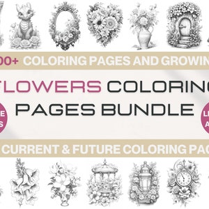 800+ Flowers Coloring Pages Bundle, Adults Coloring Book Bundle, Grayscale Coloring Books, Colouring Sheets, Digital Download, Printable PDF