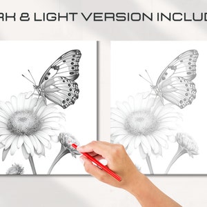Pu&ograve; includere: Un disegno a matita in bianco e nero di una farfalla che atterra su una margherita. Il disegno &egrave; su sfondo bianco.