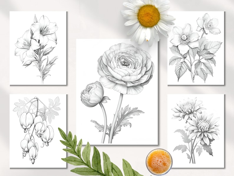Op de afbeelding: Set van zes zwart-wit botanische illustraties met verschillende bloemen, waaronder een lelie, een ranonkel, een anemoon, een hartje en twee chrysanten.