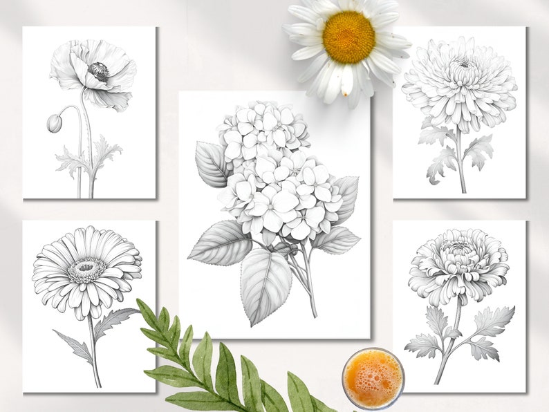 Op de afbeelding: Een set van zes zwart-wit lijntekeningen van verschillende bloemen, waaronder een klaproos, een madeliefje, een hortensia en twee chrysanten. De tekeningen zijn op een witte achtergrond.