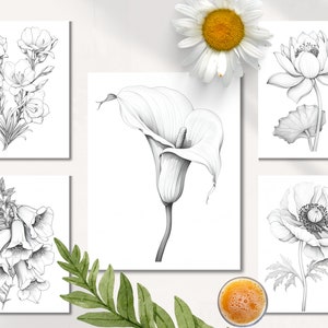Op de afbeelding: Set van zes zwart-witte lijntekeningen van verschillende bloemen. De bloemen omvatten een lelie, een lotus, een klaproos, een calla en twee andere soorten bloemen.