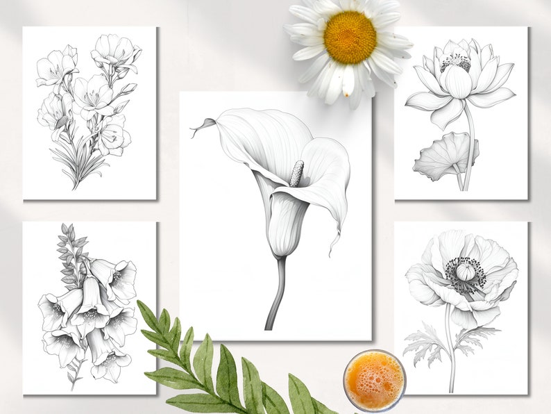 Op de afbeelding: Set van zes zwart-witte lijntekeningen van verschillende bloemen. De bloemen omvatten een lelie, een lotus, een klaproos, een calla en twee andere soorten bloemen.