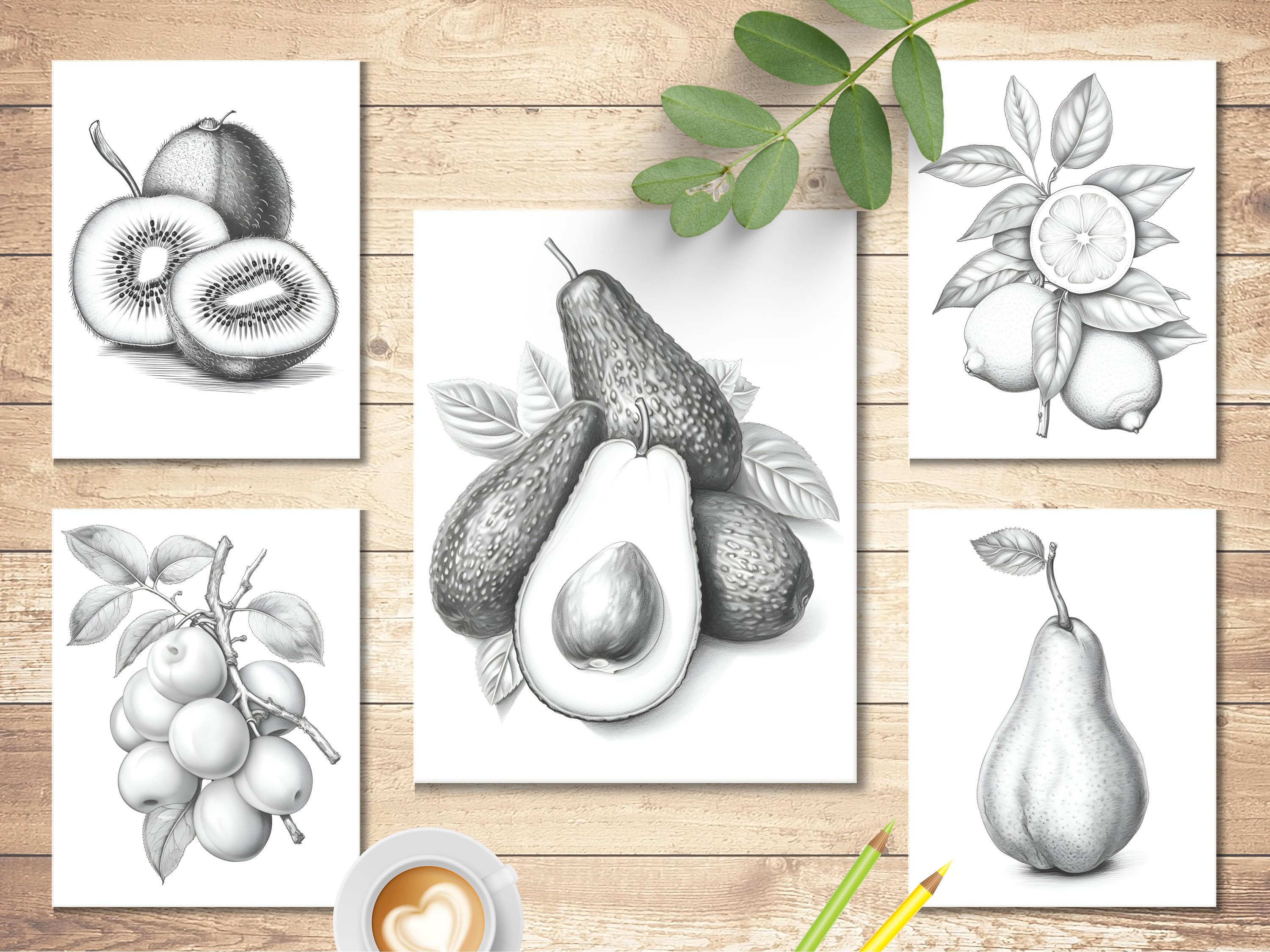 Mixed Fruit Coloring Book Printable Adult and Kid Coloring - Etsy