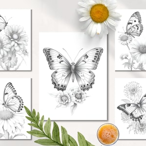 Pu&ograve; includere: Cinque stampe d'arte stampabili in bianco e nero con farfalle e margherite. Le stampe sono disposte in una griglia con una farfalla e una margherita su ogni stampa.