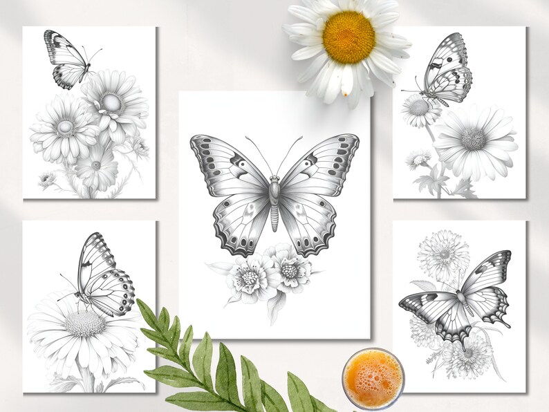 Pu&ograve; includere: Cinque stampe d'arte stampabili in bianco e nero con farfalle e margherite. Le stampe sono disposte in una griglia con una farfalla e una margherita su ogni stampa.