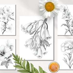 Op de afbeelding: Vijf zwart-wit illustraties van verschillende bloemen. De bloemen zijn realistisch getekend en zijn gerangschikt in een rasterpatroon. De illustraties zijn op een witte achtergrond.