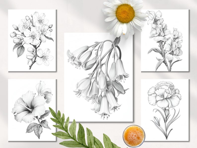 Op de afbeelding: Vijf zwart-wit illustraties van verschillende bloemen. De bloemen zijn realistisch getekend en zijn gerangschikt in een rasterpatroon. De illustraties zijn op een witte achtergrond.
