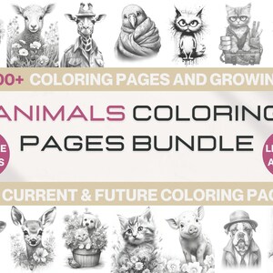 700+ Animals Coloring Pages Bundle, Adults Coloring Book Bundle, Grayscale Coloring Books, Colouring Sheets, Digital Download, Printable PDF
