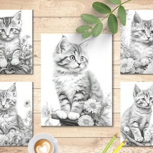 May include: Five black and white pencil drawings of kittens in various poses. Each kitten is surrounded by flowers and foliage. The drawings are on white paper and are framed with a white border.