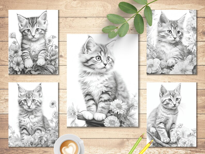 May include: Five black and white pencil drawings of kittens in various poses. Each kitten is surrounded by flowers and foliage. The drawings are on white paper and are framed with a white border.