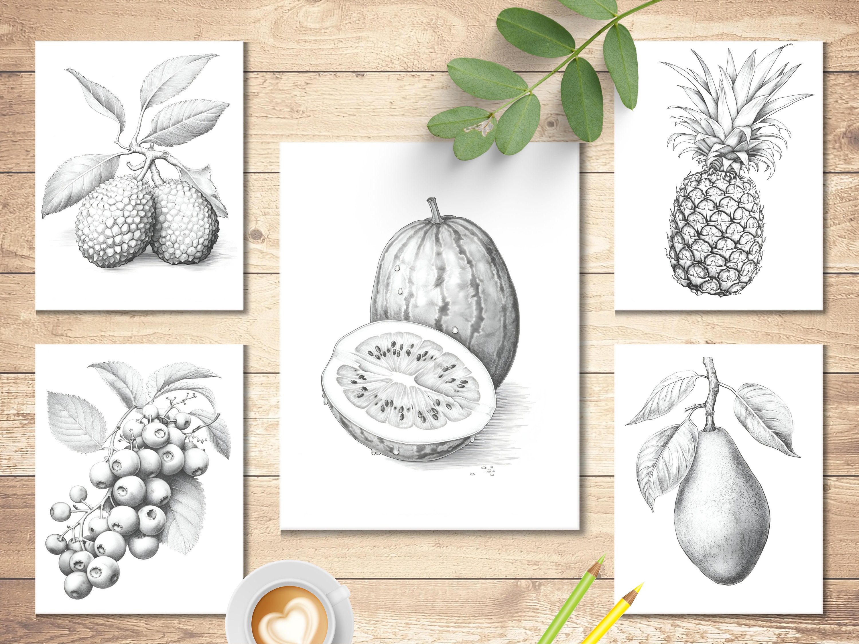 Mixed Fruit Coloring Book Printable Adult and Kid Coloring Etsy