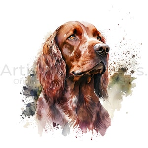 Pode incluir: Pintura em aquarela de um cão setter irlandês marrom e branco com uma expressão suave e gentil. A pelagem do cão é detalhada com pinceladas, e o fundo é uma suave aquarela.
