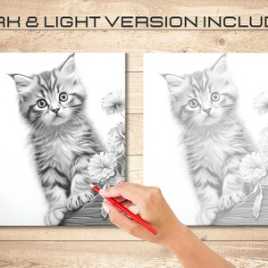 May include: A black and white pencil drawing of a kitten sitting on a branch with flowers. The drawing is on a white background.  DARK & LIGHT VERSION INCLUDED.