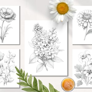 Op de afbeelding: Een set van zes zwart-wit lijntekeningen van verschillende bloemen, waaronder een papaver, een madeliefje, een sering, een geranium en een zinnia. De tekeningen zijn op een witte achtergrond.