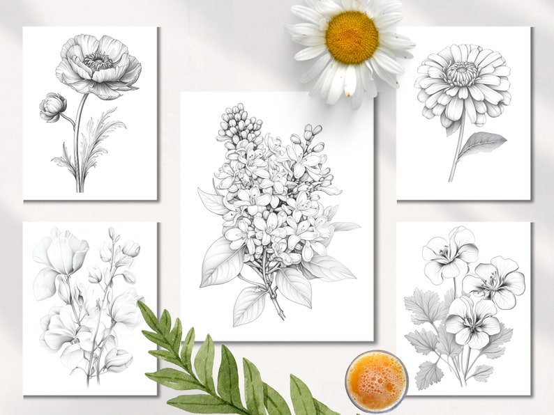 Op de afbeelding: Een set van zes zwart-wit lijntekeningen van verschillende bloemen, waaronder een papaver, een madeliefje, een sering, een geranium en een zinnia. De tekeningen zijn op een witte achtergrond.