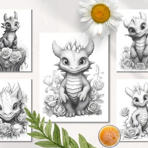 Puede incluir: Cinco ilustraciones en blanco y negro de adorables dragones beb&eacute;s con alas y cuernos. Cada drag&oacute;n est&aacute; rodeado de rosas y otras flores. Las ilustraciones son perfectas para p&aacute;ginas para colorear o arte de pared.