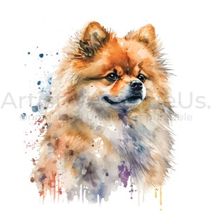 Pomeranian Clipart - 10 High Quality JPGs | Digital Planners | Cute Animal | Digital Download | Commercial Use Included