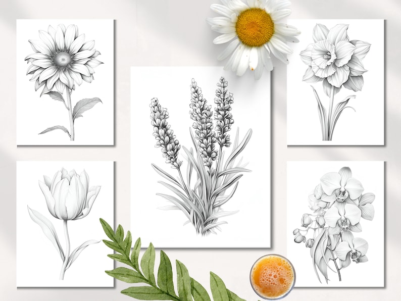 Op de afbeelding: Een set van zes zwart-wit botanische illustraties met een zonnebloem, een narcis, een tulp, lavendel en een orchidee. De illustraties zijn getekend in een realistische stijl en zijn perfect om een ​​touch van natuur toe te voegen aan elk interieur.