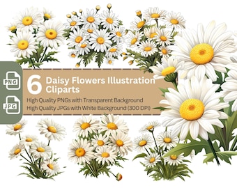 Daisy Flower PNG Clipart Bundle: Watercolor Style (Digital Download)