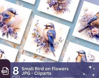 Robin Bird with Flowers Clipart 8 High Quality JPG Nursery Art Card Making Clip Art Digital Paper Craft Bird Watercolor Sublimation Clipart