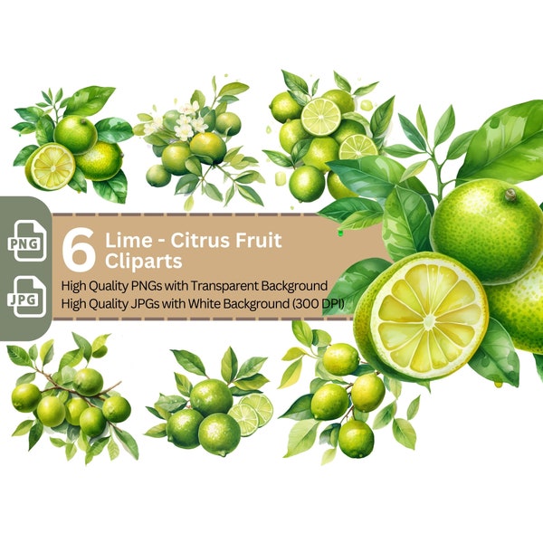 Lime Citrus Fruit Clipart 6 High Quality PNGs Bundle Nursery Art Card Making Tumbler Clip Art Digital Paper Craft Sublimation Design