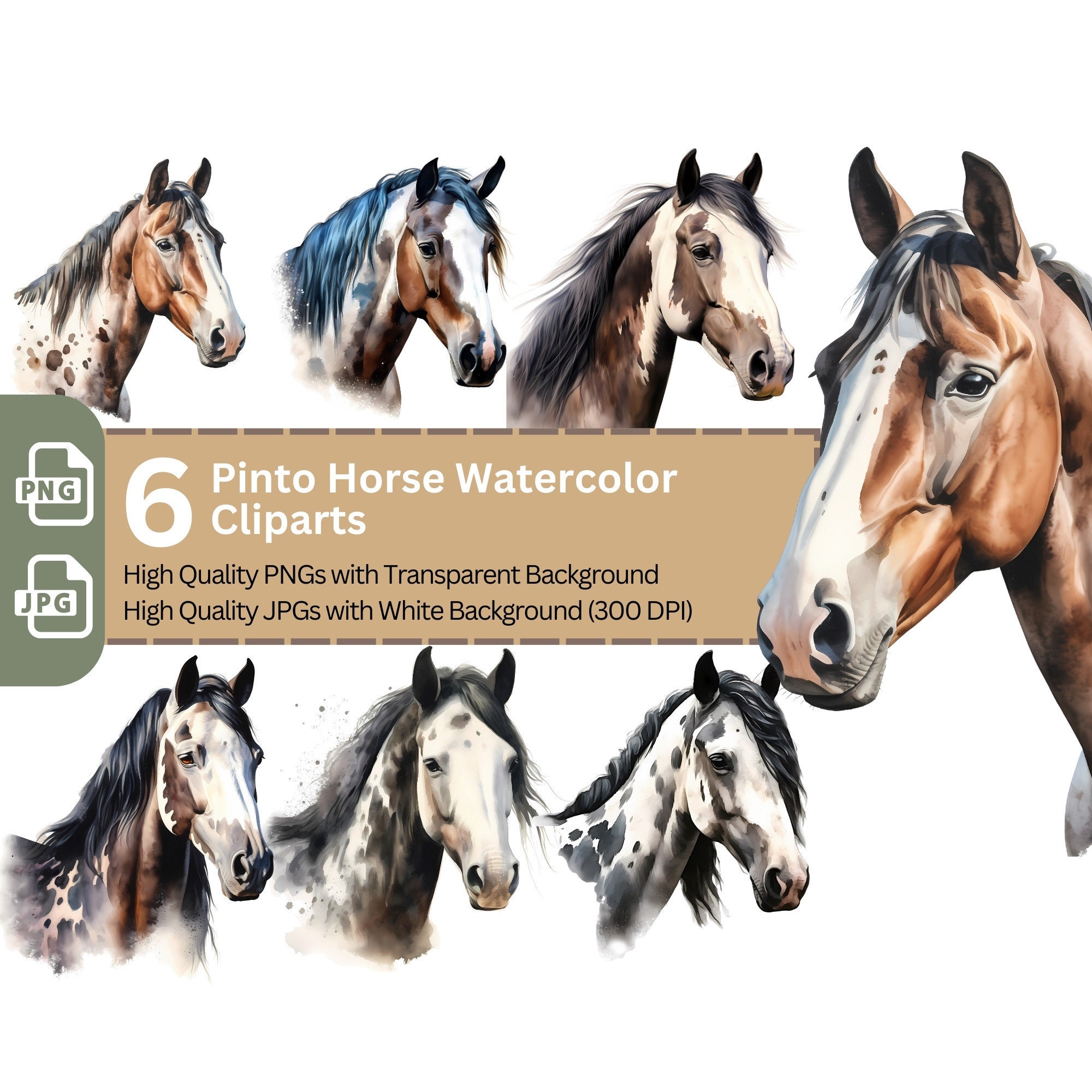 Pinto Graphics Pinto Horse Wallpaper Desktop