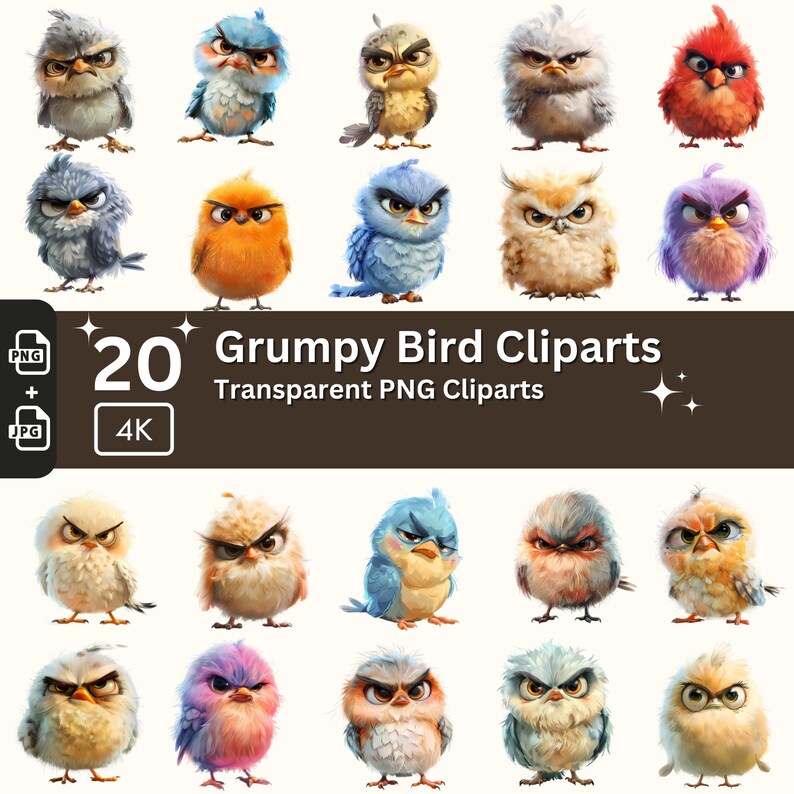 Grumpy Birds Clipart Bundle: Funny Watercolor PNG Illustrations ...