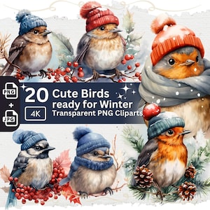 Clipart de pássaros de inverno com chapéu bobble 20 PNG pacote imagens aquarela sazonais lixo diário gráfico de penas amigos scrapbook clipart