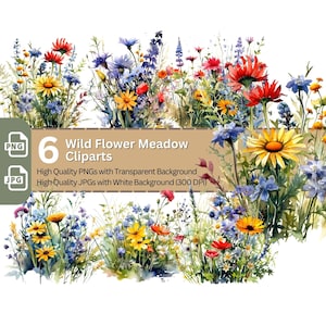 Wild Flower Meadow 6 x PNG Clip Art Bundle Summer Meadow Design Card Making Paper Crafting Children Book Clipart Flower Garden Invitation