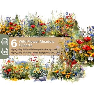 Wild Flower Meadow 6 x PNG Clip Art Bundle Summer Meadow Design Card Making Paper Crafting Children Book Clipart Flower Garden Journal Art