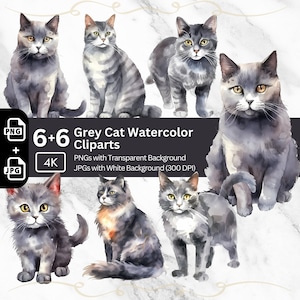Gray Cat Clipart 6x PNG Paquete Sublimación Diseño Vivero Tarjeta de Arte Elaboración Camiseta Cat Lover Junk Journal Kit Gráfico