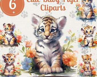 Baby Tiger Clipart Bundle, Aquarell Zootiere (PNG, JPG)