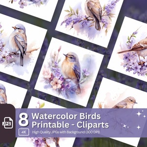 Aquarell Vögel Clipart 8 JPG Bundle Blumen Vogel Illustration Kartenherstellung Digital Papier Handwerk Design Junk Journal Kit Wildlife Kinderzimmer Kunst