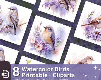 Watercolor Bird Clipart: Floral Robin Illustration (JPG Bundle)