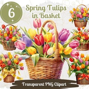 Spring Tulips Clipart 6 PNG Bundle Colorful Tulips in Basket Spring Flower Graphic Floral Clipart Card Crafting Invitation Design