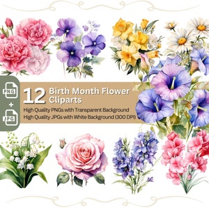 Mois de naissance fleurs 12 x PNG Clip Art Bundle aquarelle numérique artisanat Design anniversaire impression créateur graphique botanique Clipart cadeau pour maman