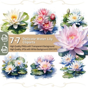 Water Lily 7+7 PNG Clip Art Bundle Floral Pond Lily Digital Crafts Design Lotus Flower Graphic Clipart Waterlily Watercolor Illustration