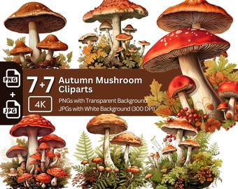 Herfstpaddestoel aquarel clipart: png jpg-bundel (digitale download)