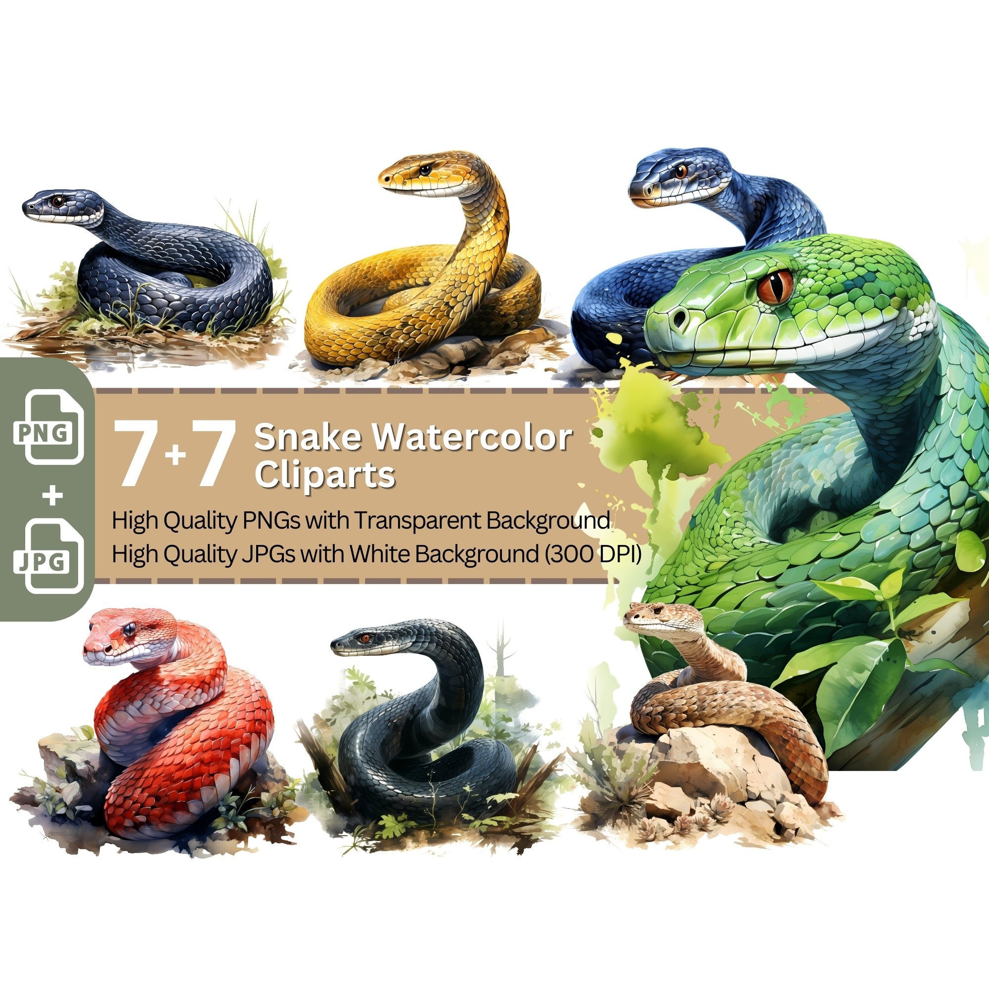 Snakes 77 PNG Clipart Bundle Animal Illustration Card Design - Etsy