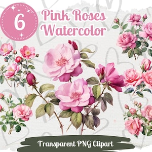 Pink Rose Clipart 6 PNG Bundle for Sublimation Watercolor Rose Graphic Wedding Invitation Valentines Day Card Crafting Floral Scrapbook Art