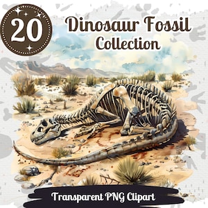 Imágenes prediseñadas de fósiles de dinosaurios 20 PNG Paquete acuarela Gráficos de huesos de dinosaurios prehistóricos T-Rex Triceratops Velociraptor Ilustraciones jurásicas