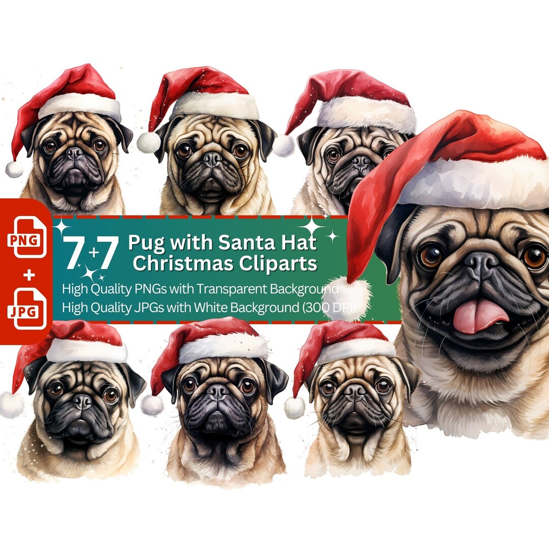 Pug Christmas Clipart: Santa Hat Pugs PNG Bundle (digital Download) - Etsy
