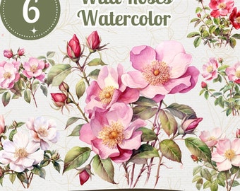 Wild Rose Watercolor Clipart: Floral PNG Bundle (Commercial Use)
