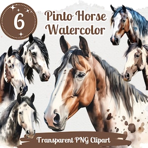 Pinto Horse Cliparts 6 High Quality PNGs Animal Clipart Nursery Art Card Making Clip Art Digital Paper Craft Horse Sublimation Design